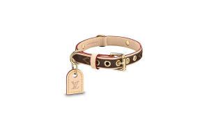 collier chien louis vuitton occasion|louis vuitton collection.